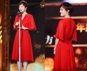 娱乐圈资深吃瓜人小说